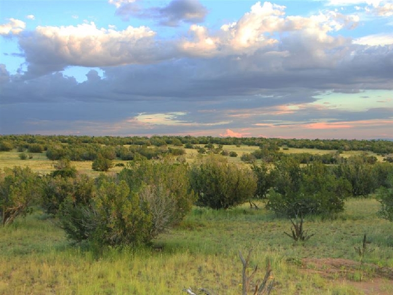 Arizona Apache County 38 Acre Property with Road Frontage Now Available with Low Monthly Payment!