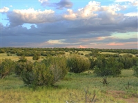 Arizona Apache County 38 Acre Property with Road Frontage Now Available with Low Monthly Payment!