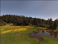 Northern California Modoc County Property in California Pines Subdivision Approx 1 Acre with Low Monthly Payments!