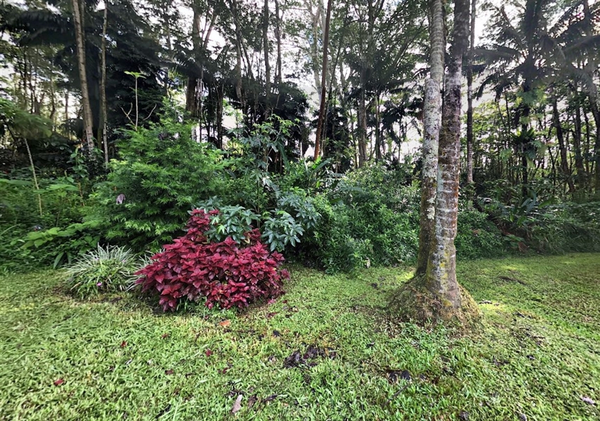 Hawaii Gorgeous Property on Paradise Road! Hard to Find Investment Lot in Nanawale Estates with Low Monthly Payments!