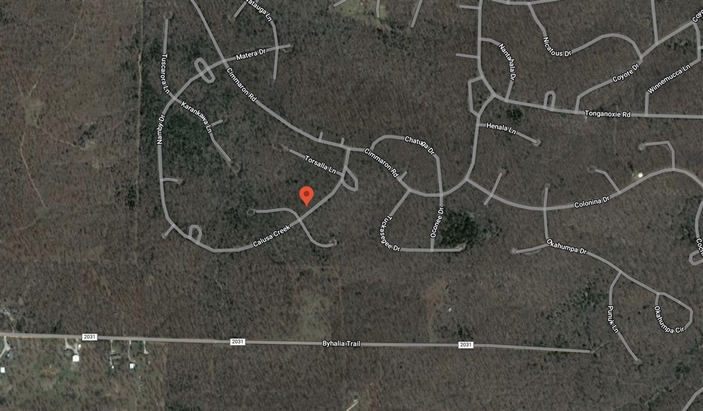 CASH SALE Cherokee Village Fulton County Arkansas DOUBLE LOT ON THE CORNER FILE 8662481