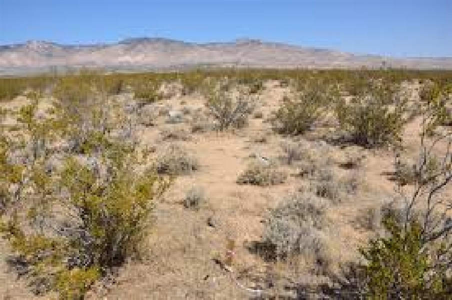 Southern California Kern County 1.54 Acre Property! Great Investment! Low Monthly Payments!
