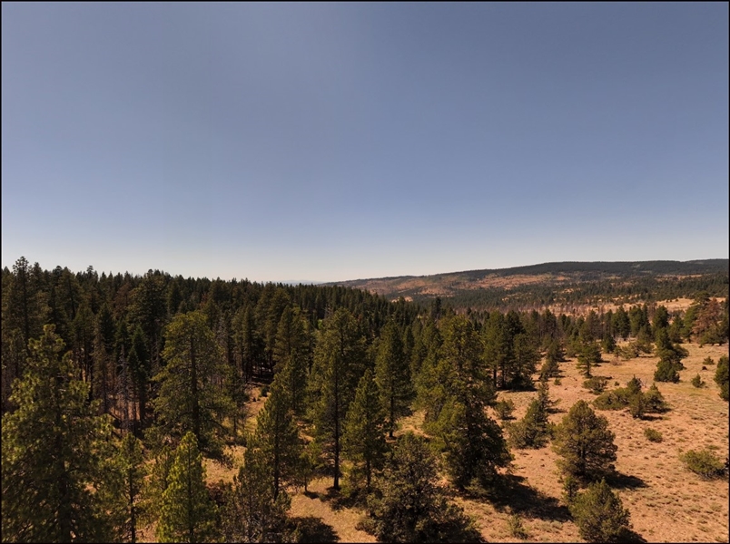 Northern California Modoc County RARE 40 Acre Parcel near Alturas! Fantastic Investment! Low Monthly Payments!