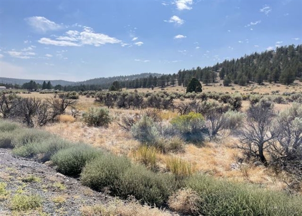 Northern California Modoc County RARE 40 Acre Parcel near Alturas! Fantastic Investment! Low Monthly Payments!