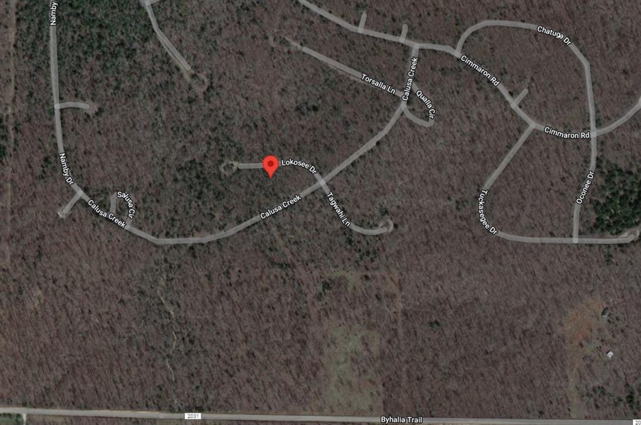 TRIPLE LOT Rare Investment Opportunity in Cherokee Village Fulton Arkansas! Low Monthly Payments!