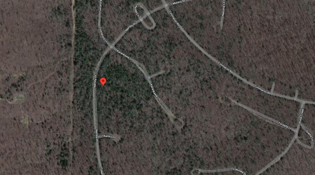 DOUBLE LOT Cherokee Village Fulton County Arkansas Great Investment! Low Monthly Payments!