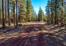 California 1.36 Acres in Modoc County in California Pines Subdivision on Low Monthly Payments