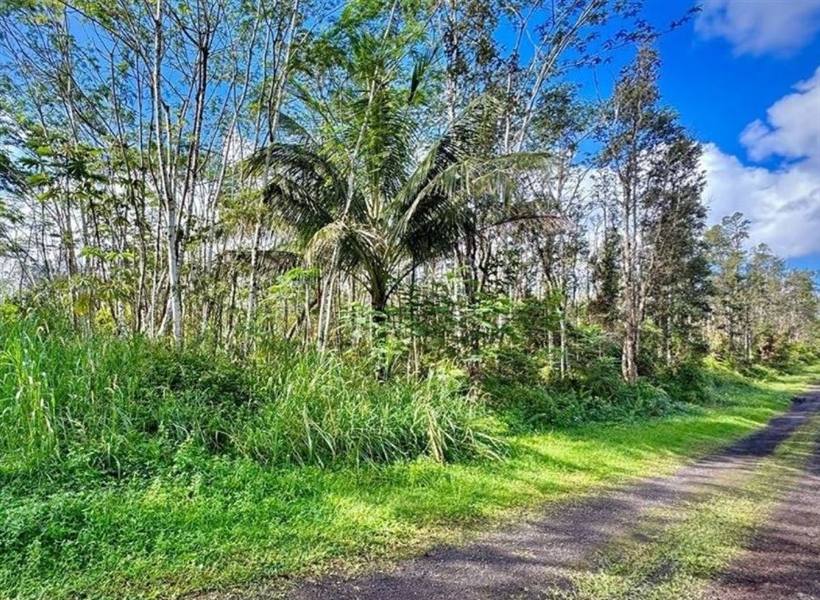 Hawaii Property Gorgeous Hard to Find Hawaii County Investment Lot in Nanawale Estates with Low Monthly Payments!