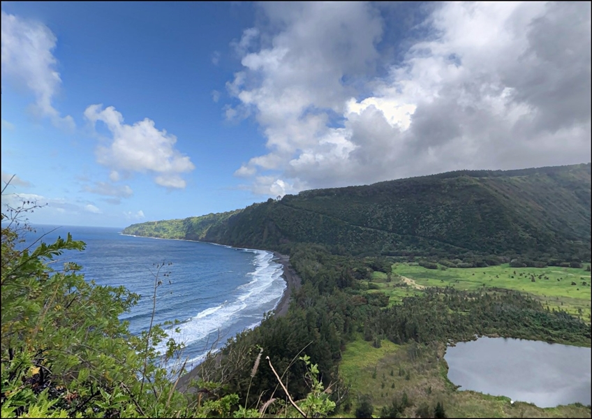 Hawaii 0.18 Acre Lot in Nanawale Estate Hawaii County Property Fantastic Investment and Relaxation Area! Low Monthly Payments!