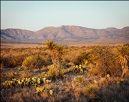 Texas 40 Acre Hudspeth County Property! Unique Recreational Investment Land! Low Monthly Payments!