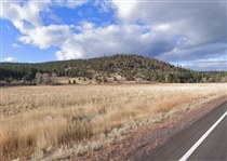 Northern Cal Modoc County Lot in Heart of California Pines! Great Land Investment! Low Monthly Payments!
