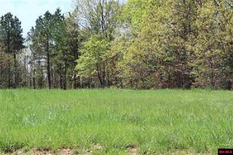 Arkansas Sharp County Lot in Ozark Acres! Great Up and Coming Investment Area! Low Monthly Payments!