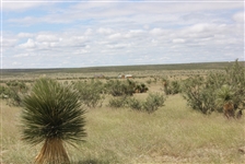 TEXAS 20 ACRE LAND PARCEL IN HUDSPETH COUNTY GREAT INVESTMENT ON DIRT ROAD! LOW MONTHLY PAYMENT!