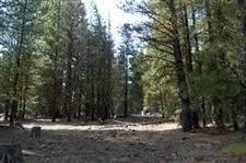 1 Acre Lot in Modoc County California Pines Subdivision With Low Monthly Payments