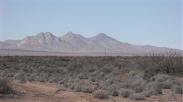 New Mexico Luna County 10 Acre Serene Desert Property! Superb Off the Grid Recreation! Low Monthly Payments!