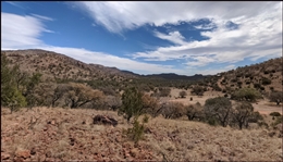 Texas Hudspeth County 53 Acre Gunsight Ranch Amazing Hunting Property! Low Monthly Payments!
