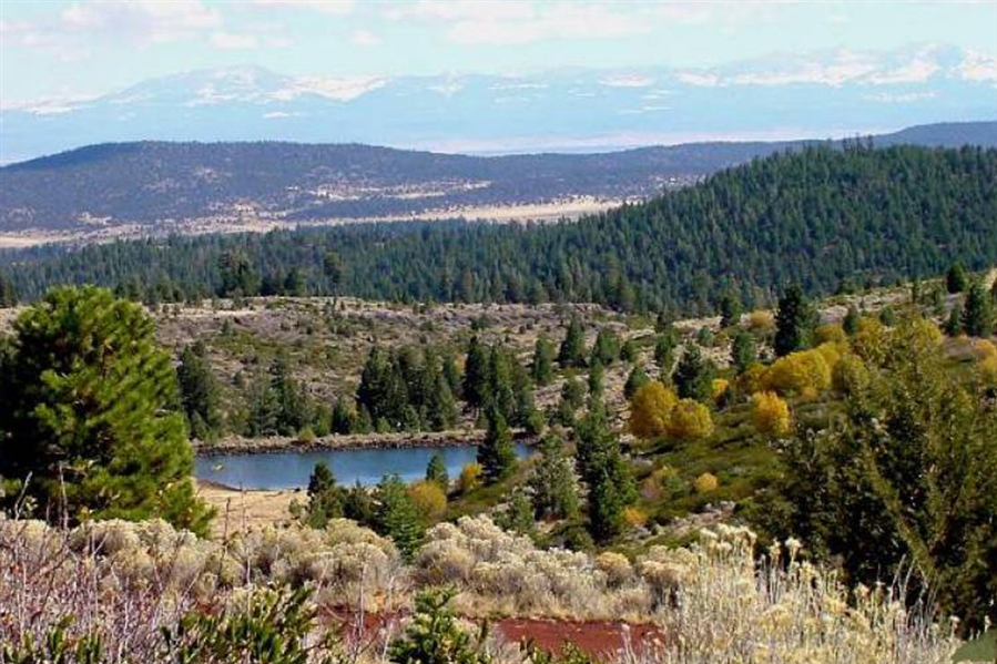 Northern California Modoc County Approx 1 Acre California Pines Property! Low Monthly Payments!
