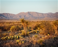 CASH SALE Discount Texas Hudspeth County 40 Acre Property! Awesome Recreation and Investment! Make A One Time Full Payment and the Deed Is Yours!