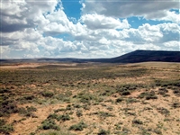 Wyoming 40 Acre Sweetwater County Exploration Land Investment with Low Monthly Payment!
