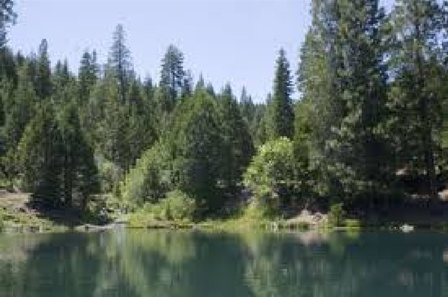 Modoc County 0.91 Acre Property In California Pines Subdivision Financed With Low Monthly Payments!