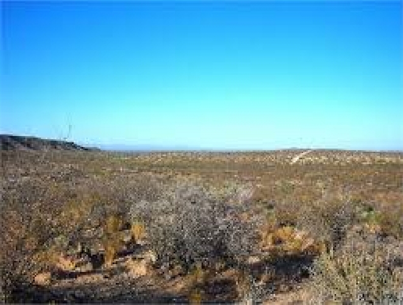 TAKE OVER PAYMENTS! ROAD ACCESS! BEAUTIFUL TX LAND. 10AC., HUNTING, CAMPING. BID AND ASSUME! (Vault_T)