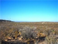 5 ACRES!! INCREDIBLE INVESTMENT! CASH SALE! FILE #7219082 STUNNING TX LAND (Vault_T)