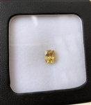 APP: 9.3k Rare Cushion Cut 1.53CT Golden Yellow Sapphire Gemstone - Great Investment - (VGN_B-1075)
