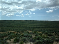 INCREDIBLE WYOMING LAND! 40 ACRES IN SWEETWATER COUNTY! HUNTING! BID AND ASSUME! FORECLOSURE! INCREDIBLE INVESTMENT!