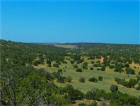 Arizona 40 acre Ranchette in Navajo County! Great for Investment and Recreational Use! Financing Now Available!