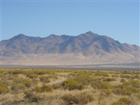39.96 Acres in Humboldt County Nevada! Just Take Over Payments! (Vault_T)