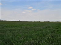 35 ACRES IN BENT COUNTY, CO Section 9, Lot 7 Now Available via Financing Opportunity!