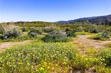 1.25 ACRES IN LOS ANGELES COUNTY CALIFORNIA! CLOSE TO THE CITY OF LANCASTER! LOW PAYMENTS! BID NOW AND FINANCE!