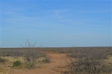 BEAUTIFUL TX LAND, 40 AC., LOVING/WARD COUNTY. BID AND ASSUME FORECLOSURE! LARGE ACREAGE! INCREDIBLE INVESTMENT!