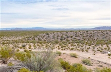 Hudspeth TX 10 Acre Plot of Undeveloped Raw Land near the Rio Grande River! Finance & Invest Now! 