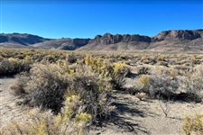 Oregon Rare 5 Acre Lot in Lake County Great for Recreation! Bid and Win Now Low Monthly Payments!