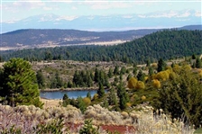 STUNNING  1 ACRE MODOC COUNTY CALIFORNIA LAND IN CALIFORNIA PINES LOW MONTHLY PAYMENTS