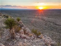 CASH SALE! HUDSPETH COUNTY TEXAS 10 ACRE LAND FOR HUNTING AND CAMPING! FILE 4634559