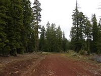 Northern California Property In Beautiful California Pines Subdivision With Low Monthly Financing