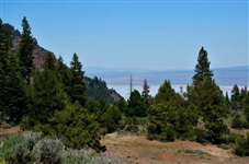 Northern California Modoc County 0.9 Acre Lot in California Pines with Low Monthly Payments