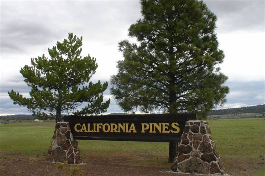 Gorgeous Modoc County 1 Acre Property In Beautiful California Pines Subdivision With Low Monthly Financing