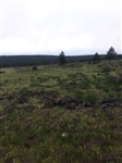Modoc County Lot in California Pines Northern Cal Property Land Investment! Low Monthly Payments!