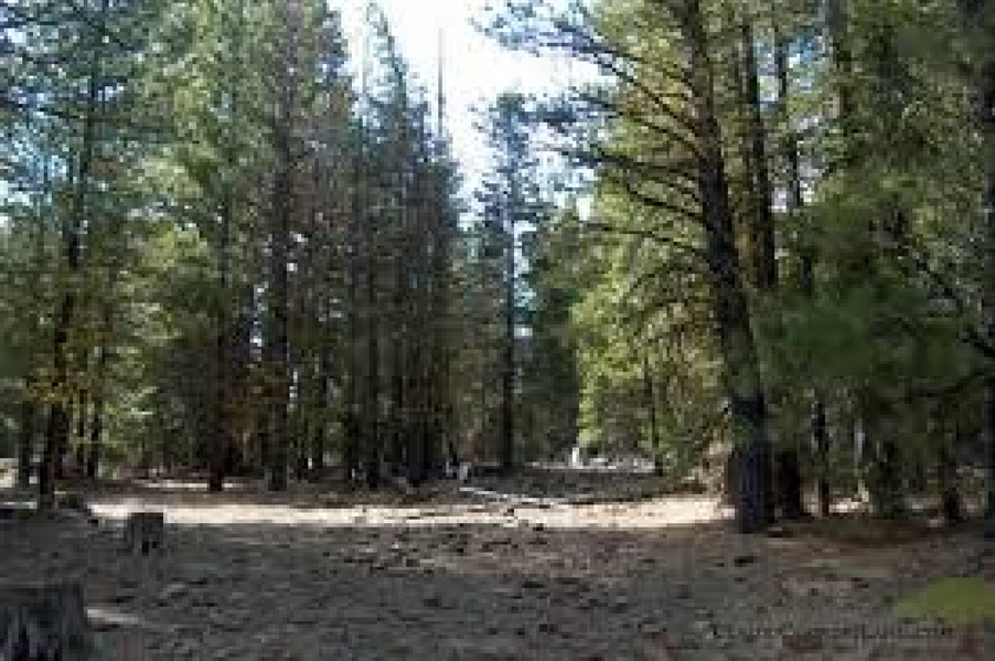 California Pines Subdivision Approx 1 Acre Beautiful Modoc County! Low Monthly Payment!