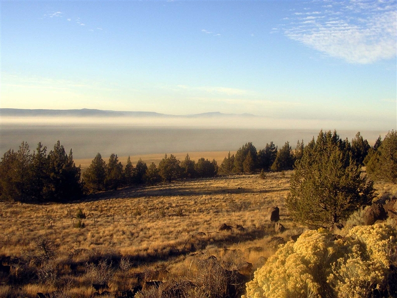 California Pines Subdivision Approx 1 Acre Beautiful Modoc County! Low Monthly Payment!