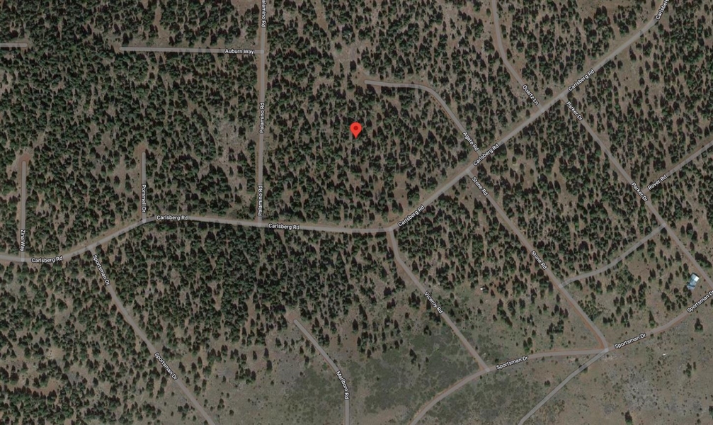 California Modoc County 1.38 Acres in California Pines Northern CA Land Financing Offered Now