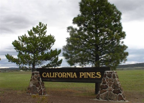 California Pines Approx 1 Acre Recreational Homesite Northern CA Modoc County! Low Monthly Payment!