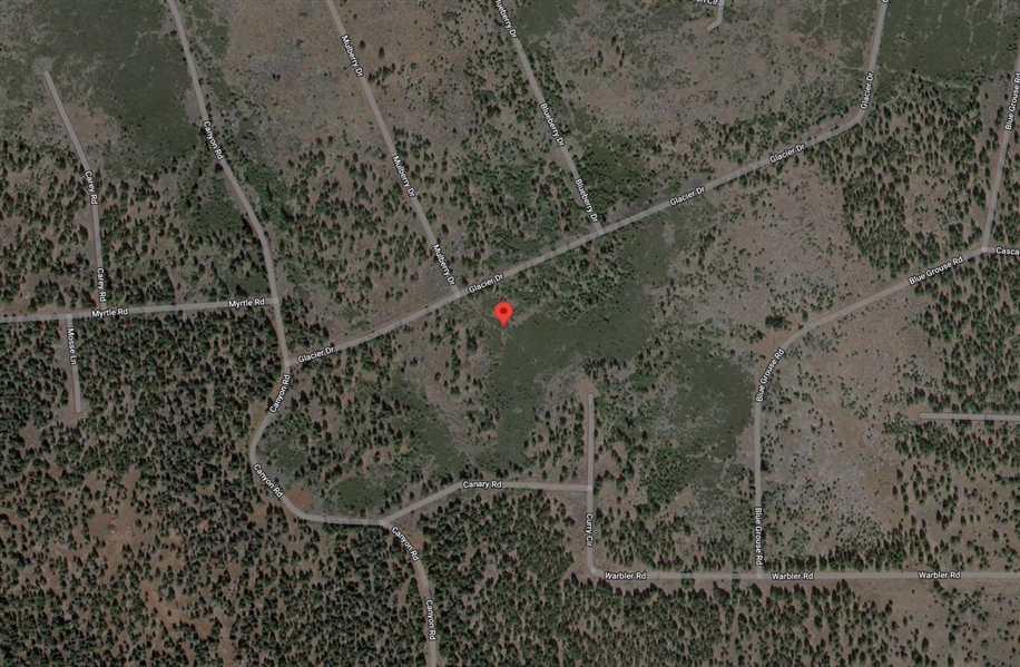 Modoc County Approx 1 Acre California Pines Investment Property And Great Recreation With Guaranteed Financing