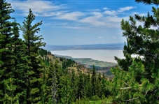 Modoc County Approx 1 Acre California Pines Investment Property And Great Recreation With Guaranteed Financing