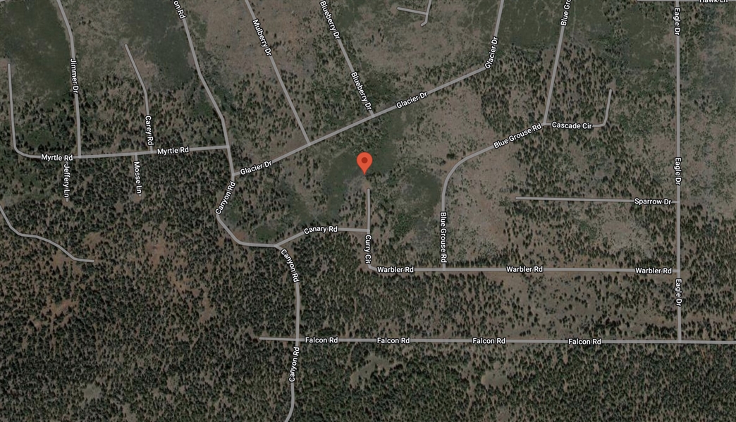 California Modoc County 0.93 Acre Lot in California Pines With Low Monthly Financing