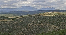 Colorado Recreational Use 35 Acre Land Investment! Spectacular Costilla County Parcel Now Financed!