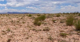 Valencia County New Mexico Platted Subdivision Lot near Albuquerque with Low Monthly Payments!